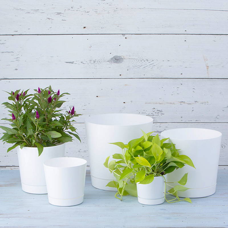 All sizes of our white full depth cylinder pots