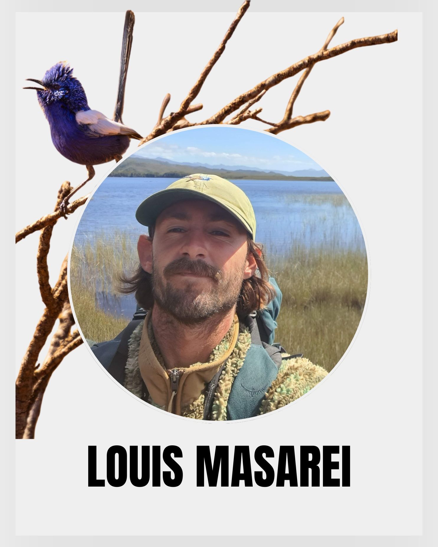 Wildlife guide Louis Masarei with splendid fairywren