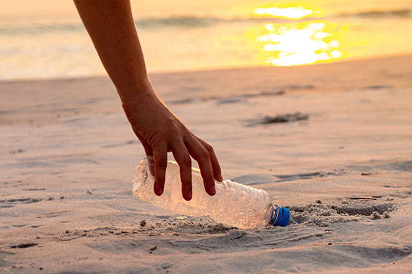 Plastic Bottles removed from the world's oceans