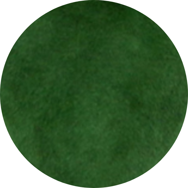 A solid green circular shape with a textured surface.