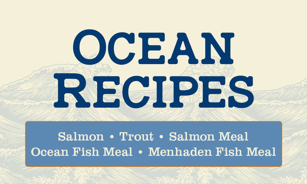 Blue text against a sea background: OCEAN RECIPES - Salmon - Trout- Salmon Meal - Ocean Fish Meal - Menhaden Fish Meal 