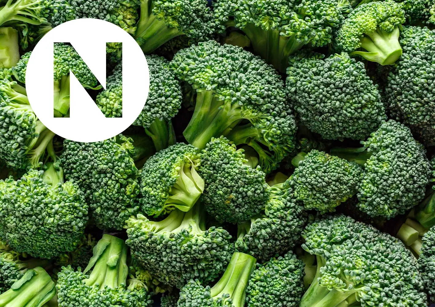 Letter N / broccoli.