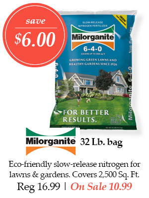 Milorganite, 32-pound - Save $6.00! Eco-friendly slow-release nitrogen for lawns and gardens. Covers 2,500 square feet. | Regular price $16.99. On Sale $10.99