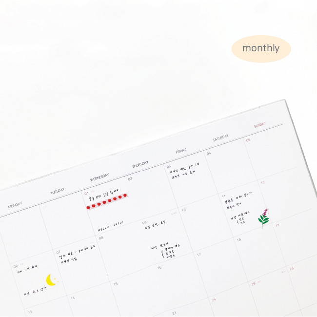Monthly plan - O-CHECK 2020 Spring come A4 dated monthly planner