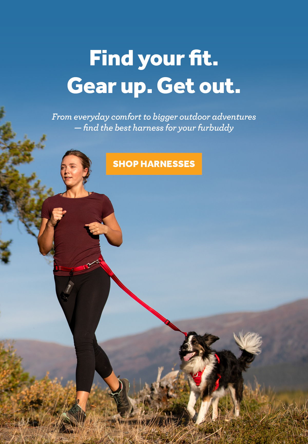 A woman jogging with a dog in a natural outdoor setting.