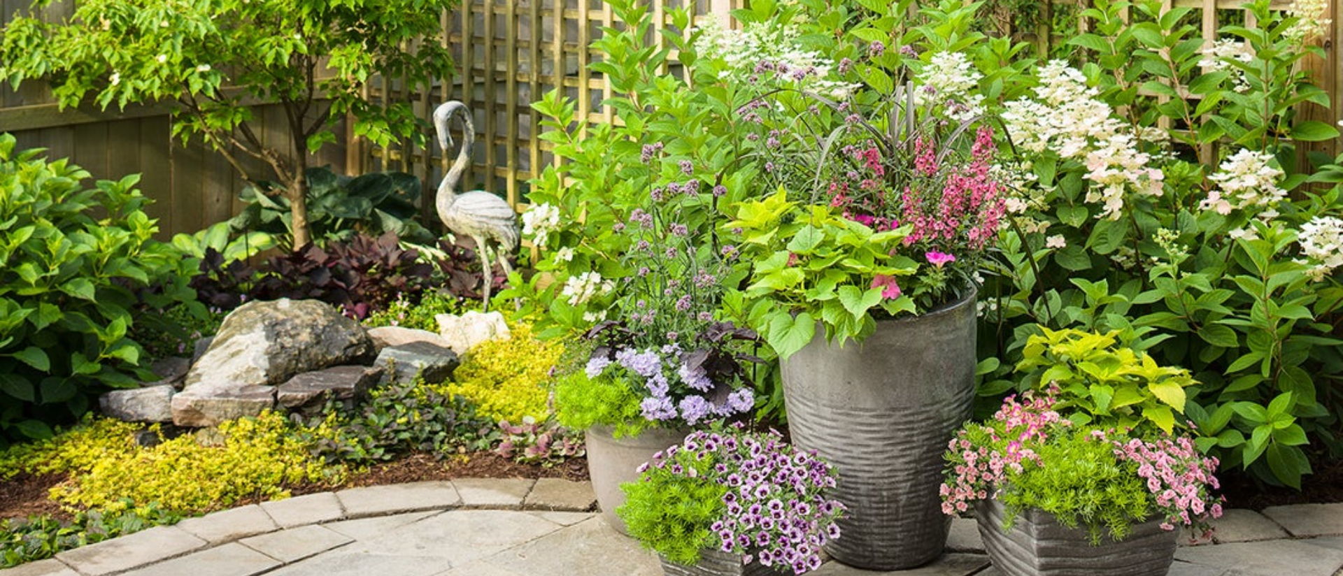 Backyard patio of Angelface® Perfectly Pink, Superbells® Blue Moon Punch™, Sweet Caroline: Bewitched Green With Envy™, Superbells® Double Orchid, Fairy Dust® Pink, Superbena® Stormburst, Lemon Coral®