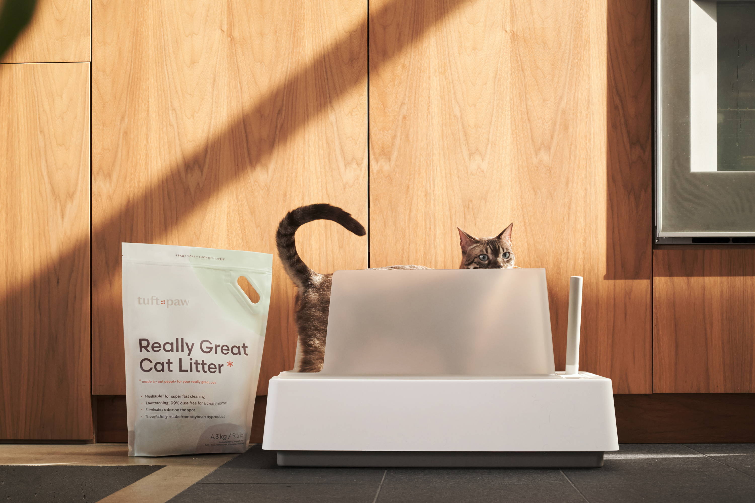 Cove Modern Litter Box – tuft + paw