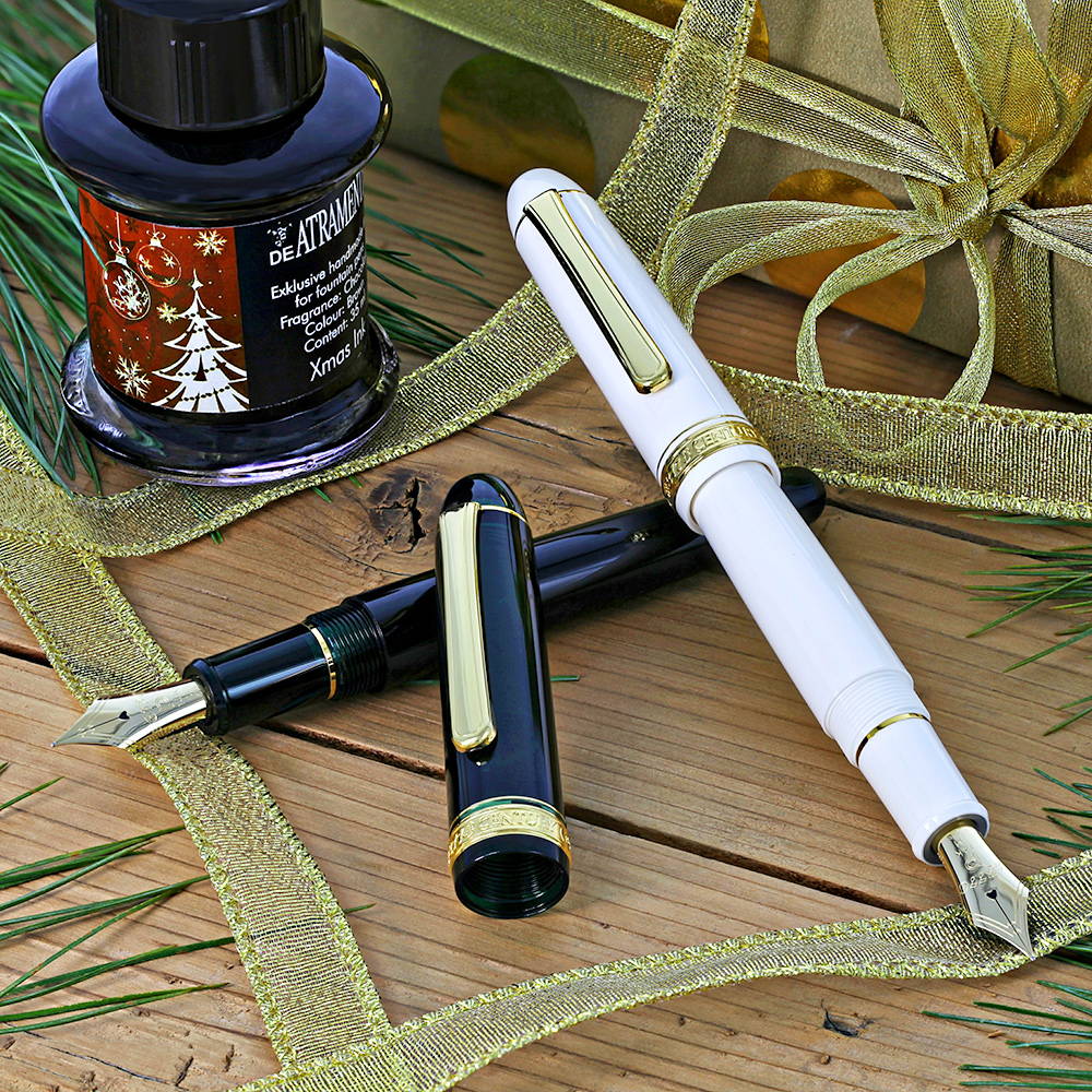 Platinum 3776 Fountain Pen