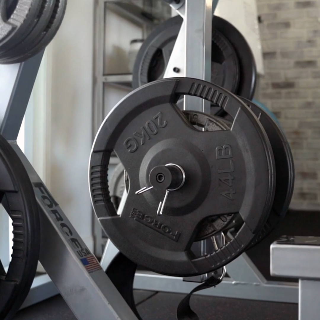 PT Studio Gym Fit Out Weight Plates