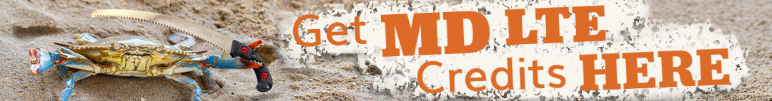 Crab on sand with text promoting MID LTE credits.