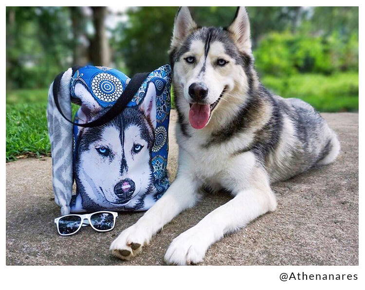 husky next to tote bag