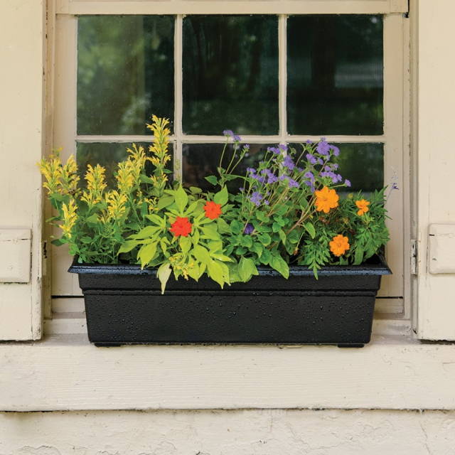 Flowers in a black Countryside flower box