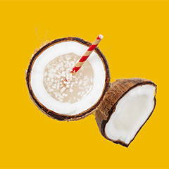 Coconut