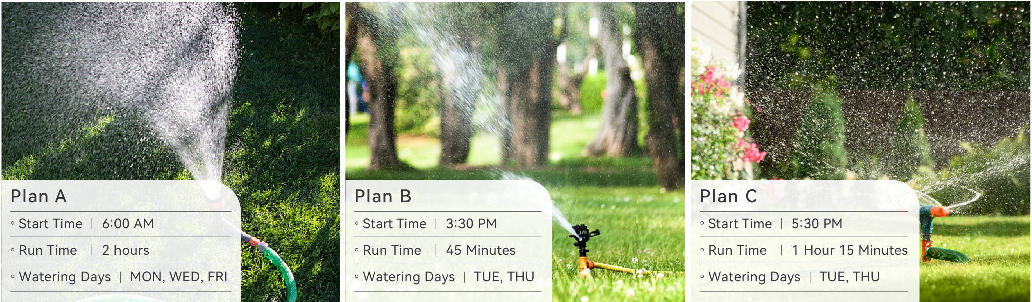6 lrrigation Plans