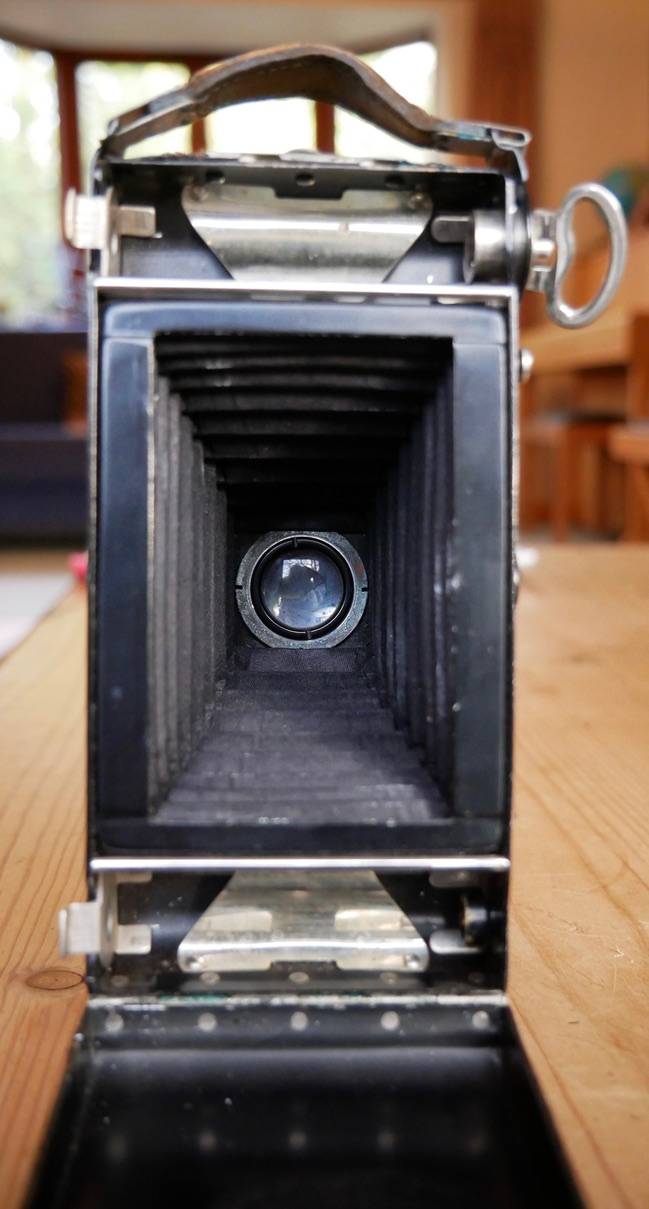 Voigtlander 129 Film camera | Analogue Wonderland