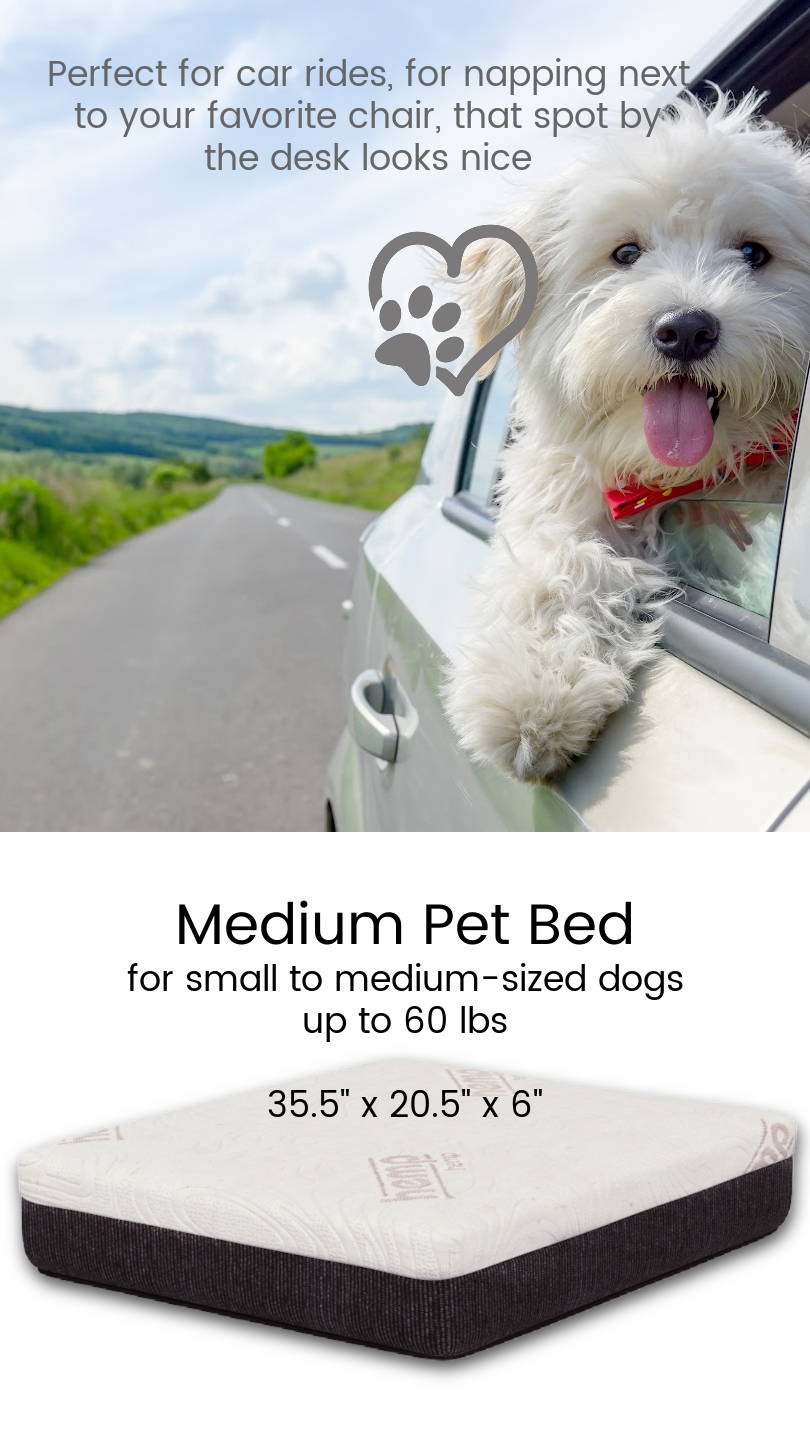 A medium sized cbd and copper infused pet bed is perfect for car rides and napping next to your favorite chair.