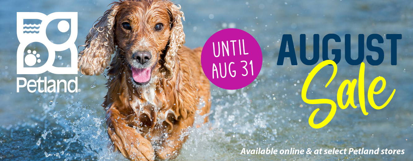 August Sale available online and at select Petland stores until August 31, 2022