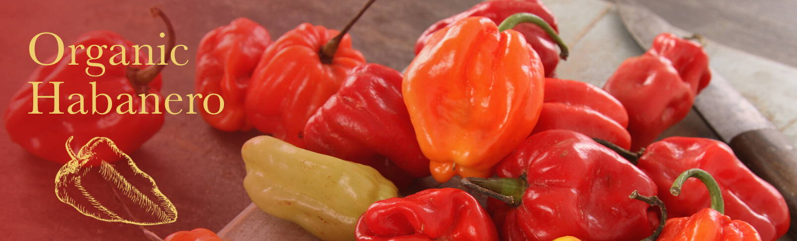 High Quality Organics Express Habanero Peppers