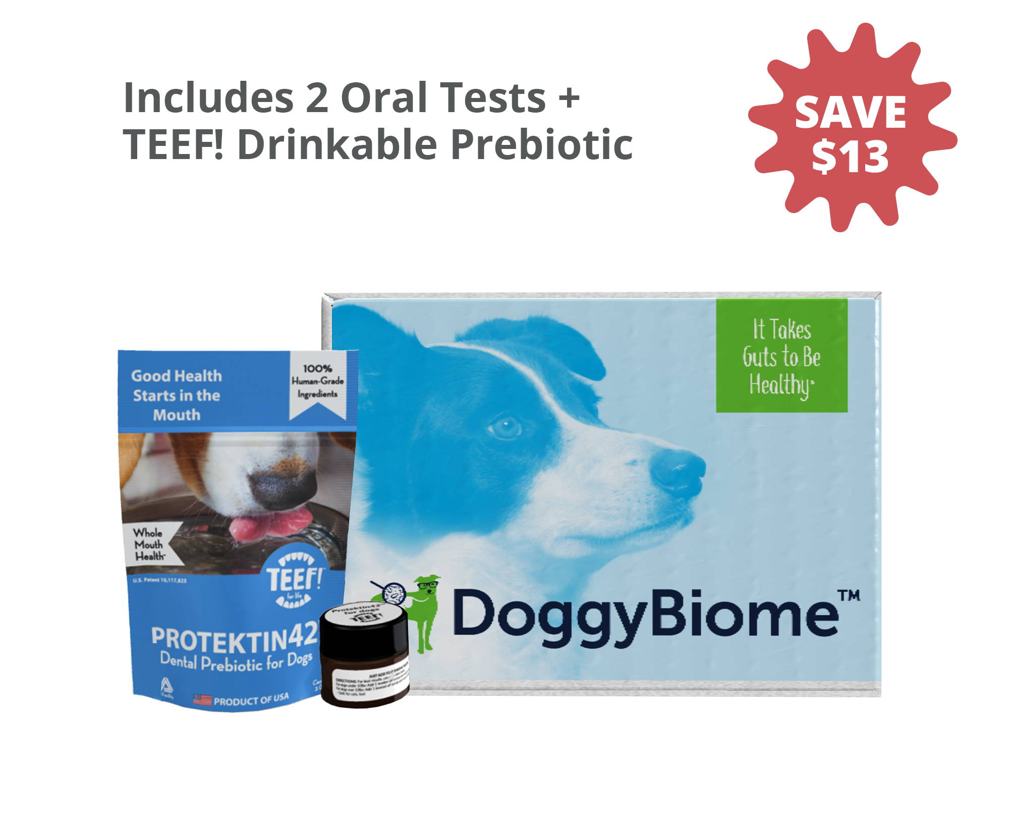 DoggyBiome Oral Health Systems with TEEF! Drinkable Prebiotic for Dogs