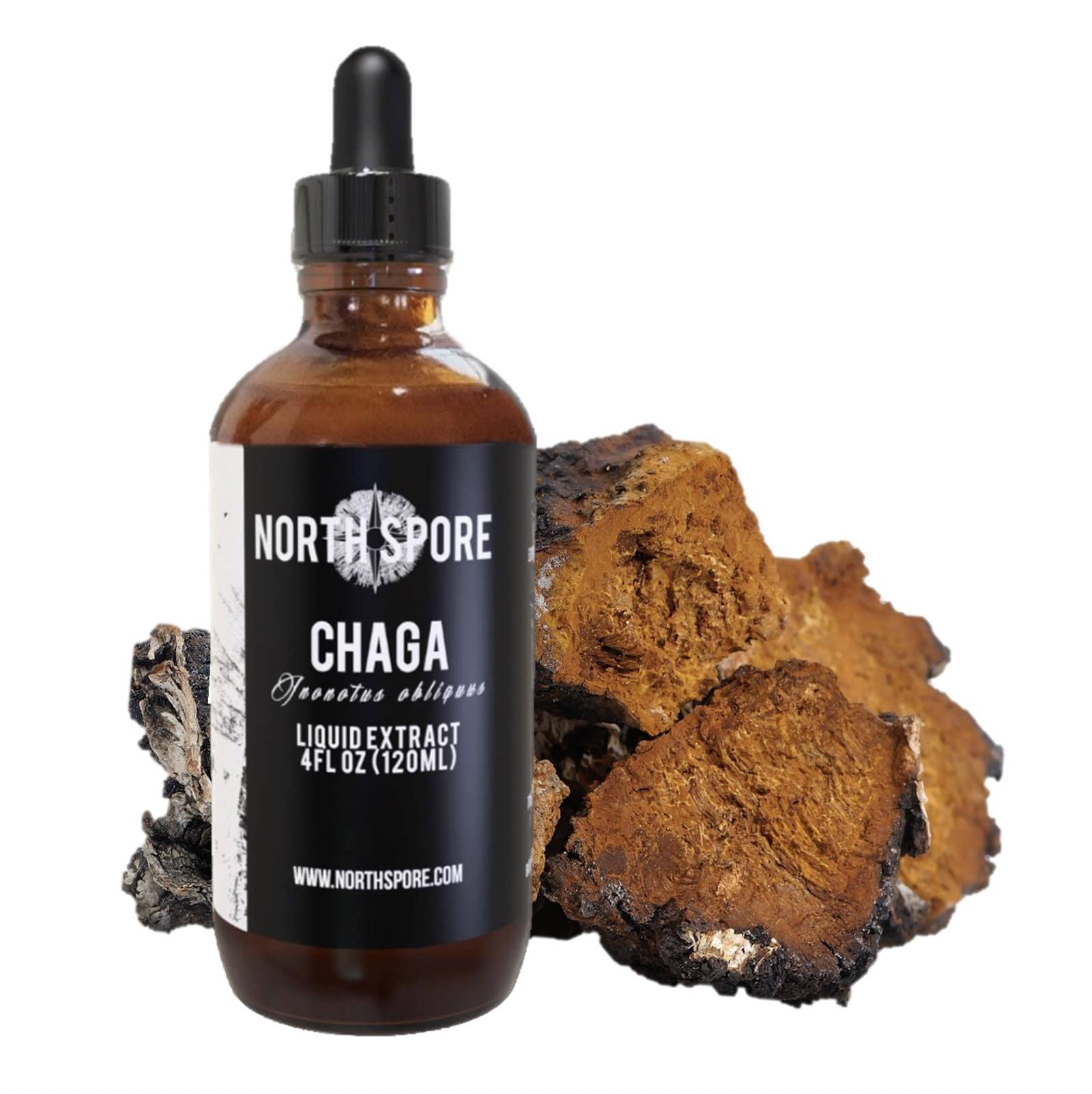 Chaga mushroom tincture
