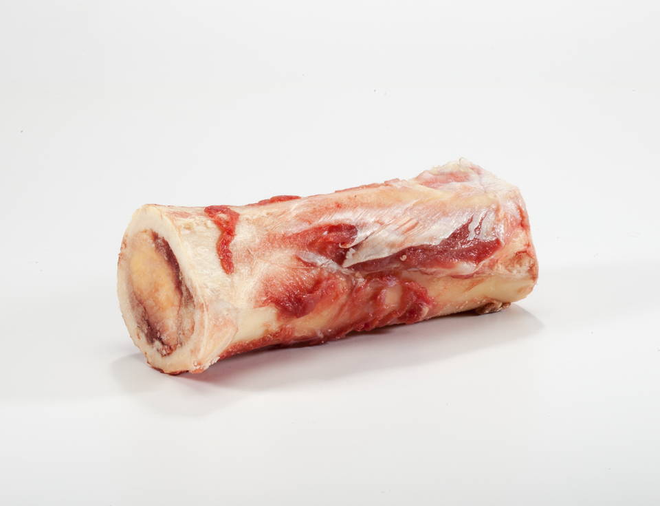 Individual raw beef marrow bone.