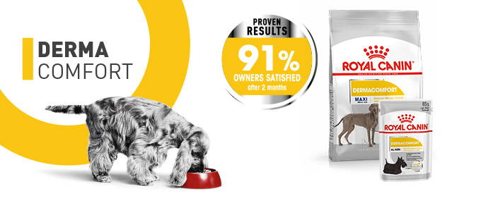 canin veterinary royal canin dog food sensitive skin
