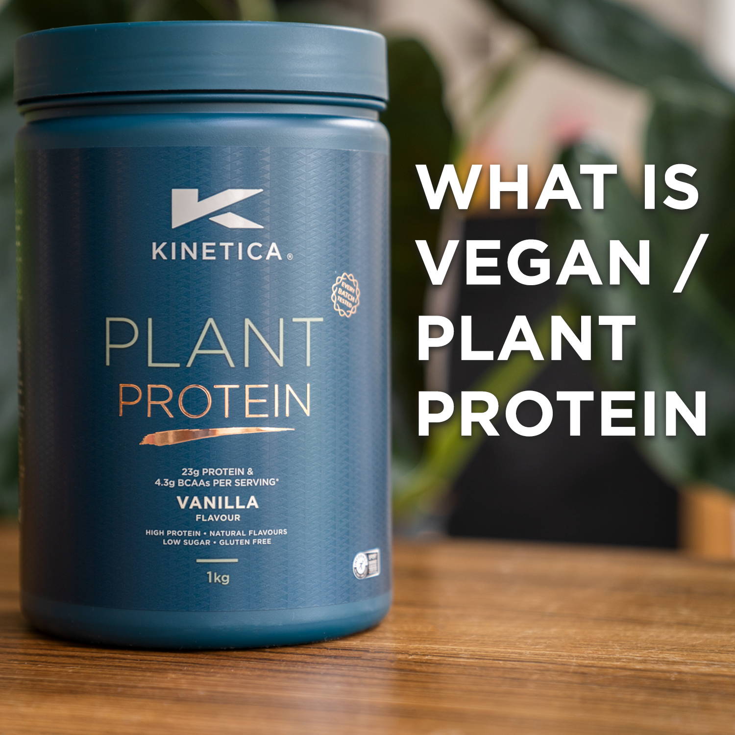 what is plant protein powder