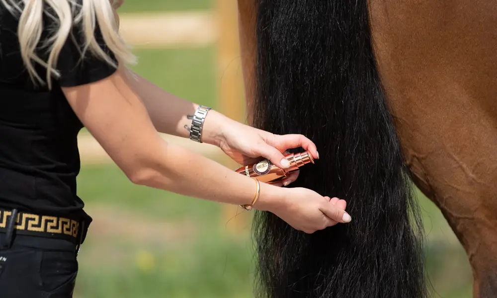 Person grooming a horse's tail with BEAUTIFY oil in a sunny outdoor setting.