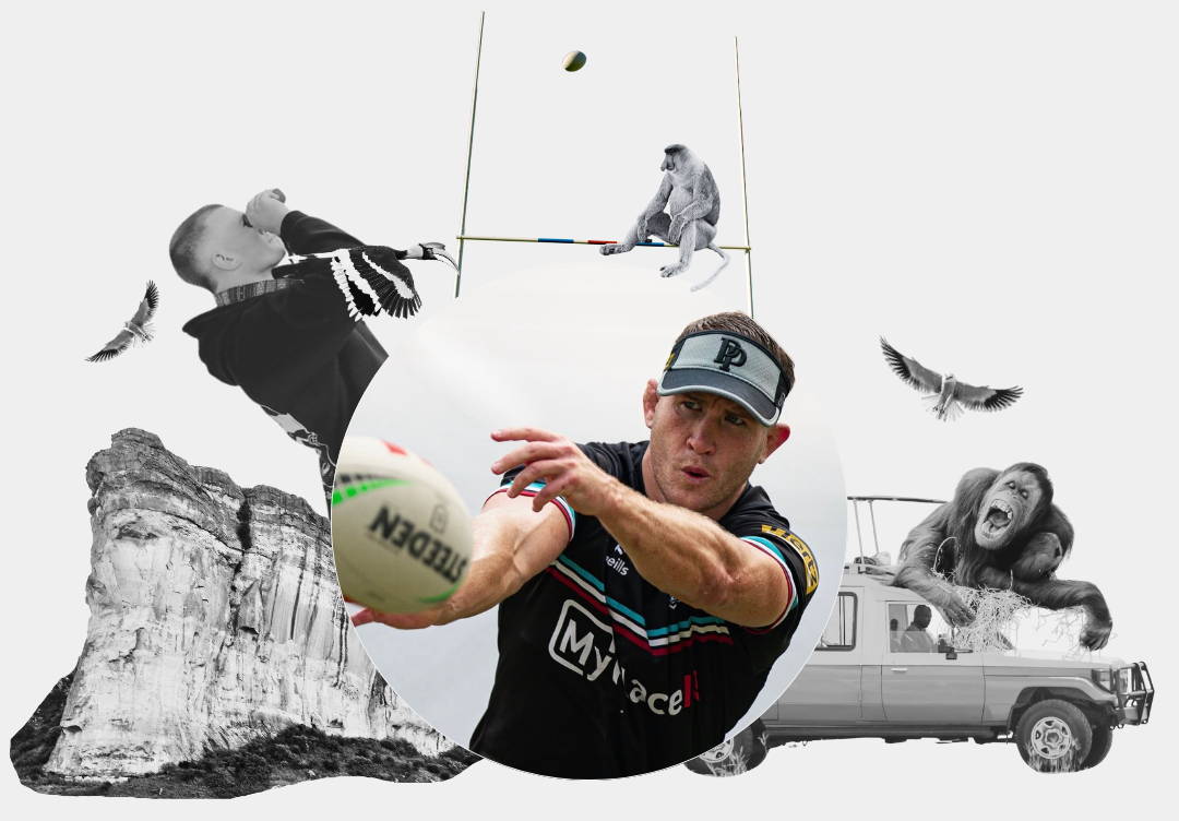 Mitch Kenny, NRL player and birder hero image with birds of prey