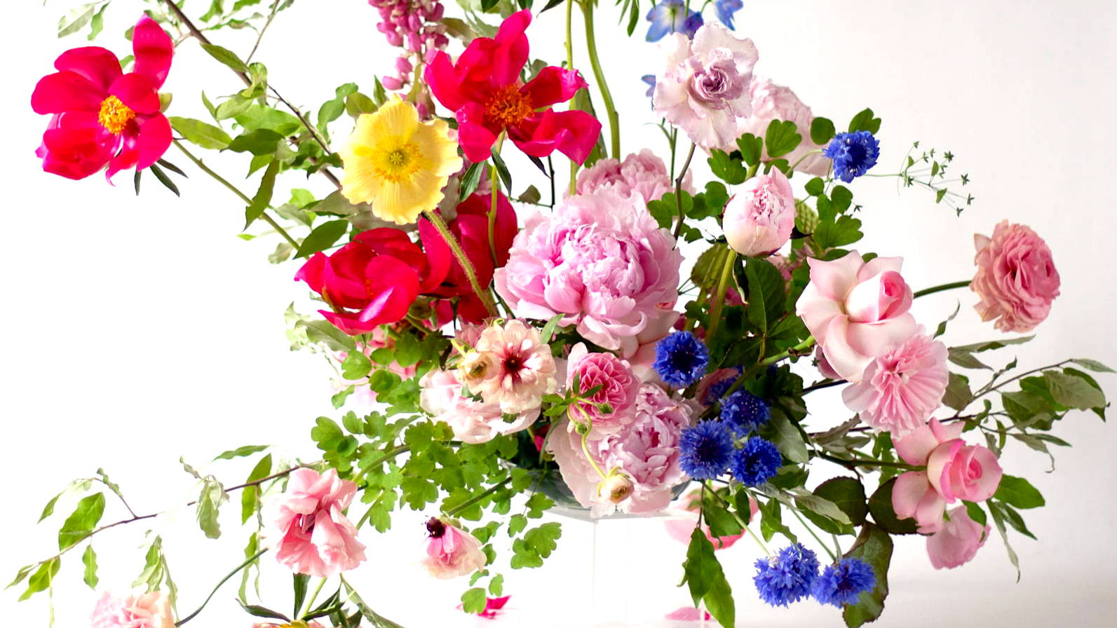 Pink, Yellow and Blue Arrangements