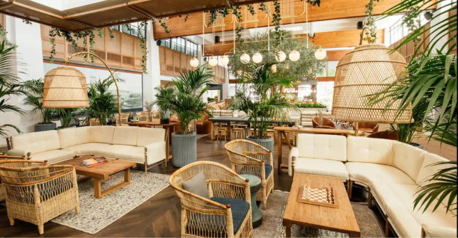 A cozy interior with rattan furniture and indoor plants.