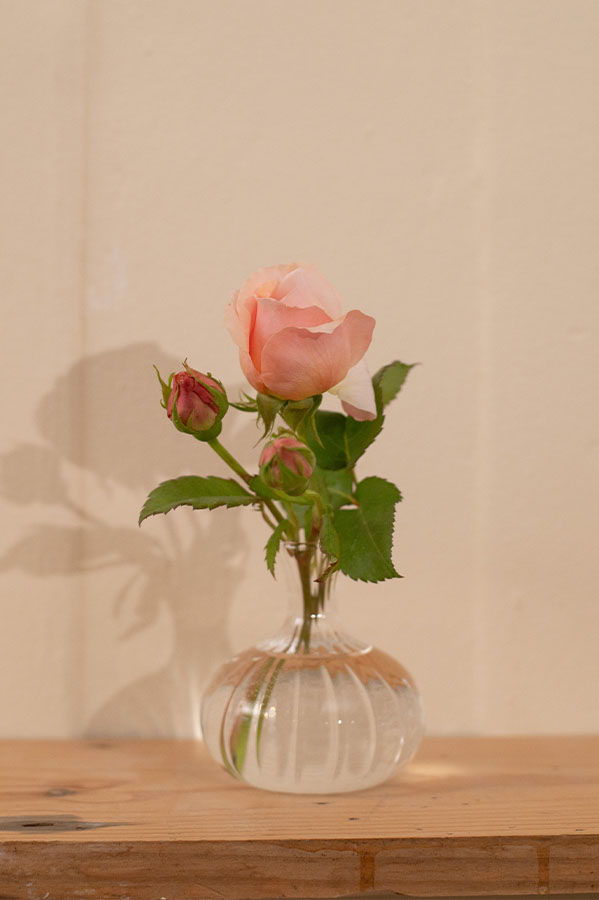 A pink rose in a clear vase on a wooden surface.