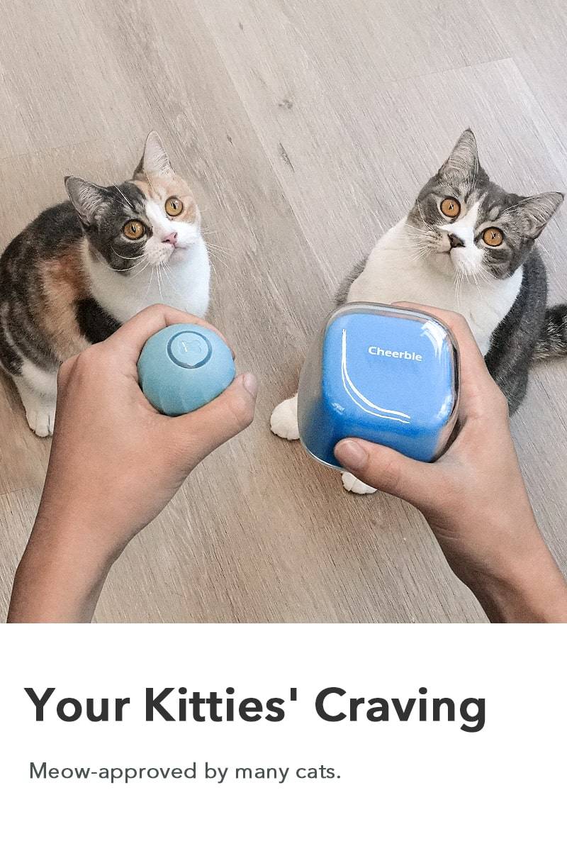 Your Kitties' Craving