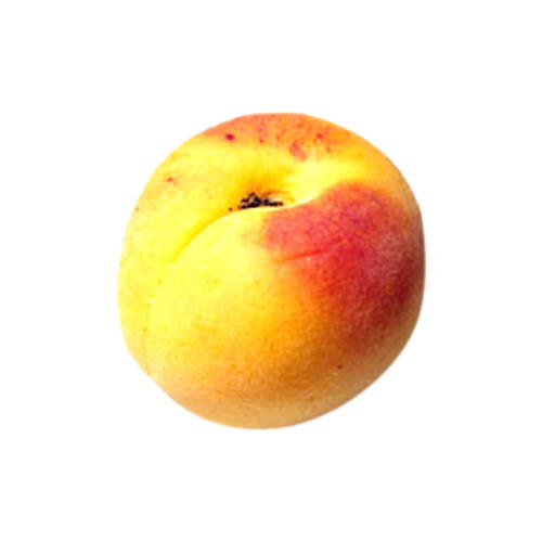 Obrázok THE ORGANIC PHARMACY Apricot & Chamomile telové mlieko pre deti 100 ml