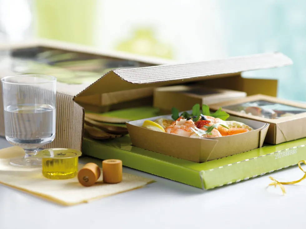 Take Out - Disposable Lunch Sets - BioandChic