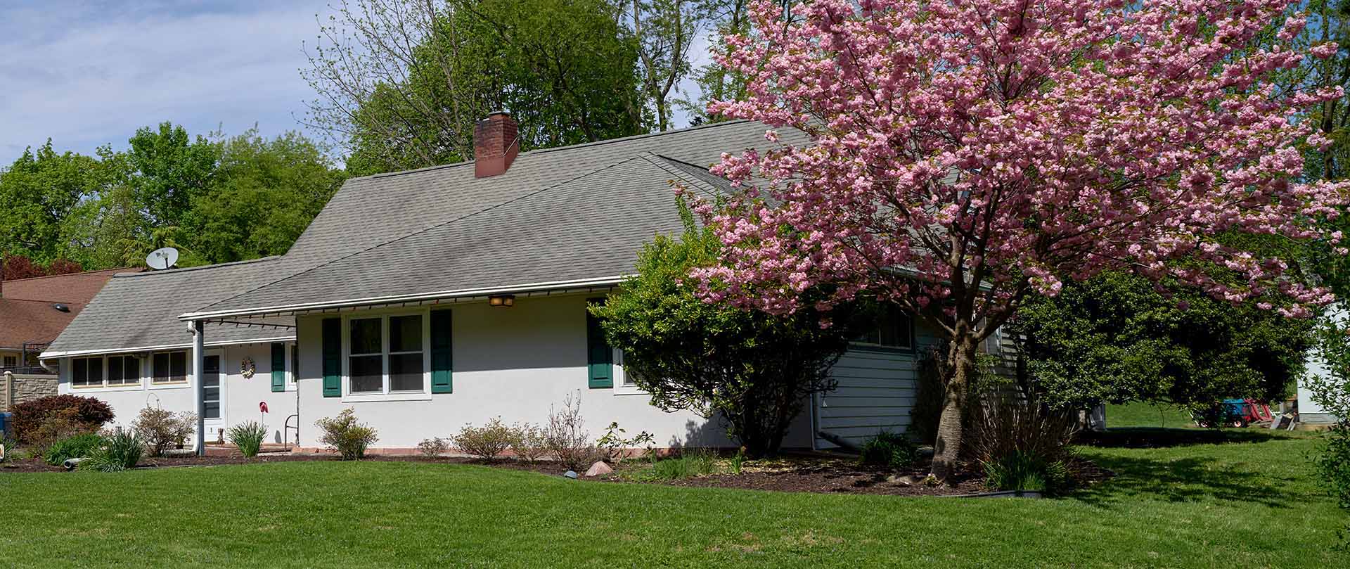 A white post-war ranch house with a green lawn and pink flowering tree.