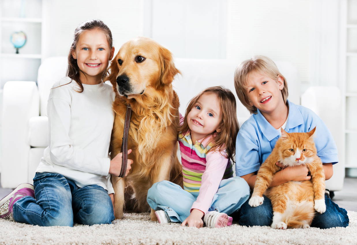 Nibbs Club Healthy Dog and Cat Treats - Positive Mental Health Effects of Pets