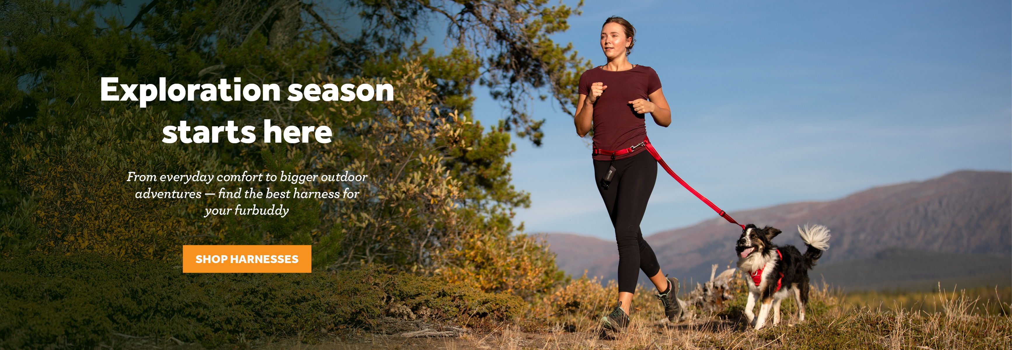Person jogging with a dog in a scenic outdoor setting.