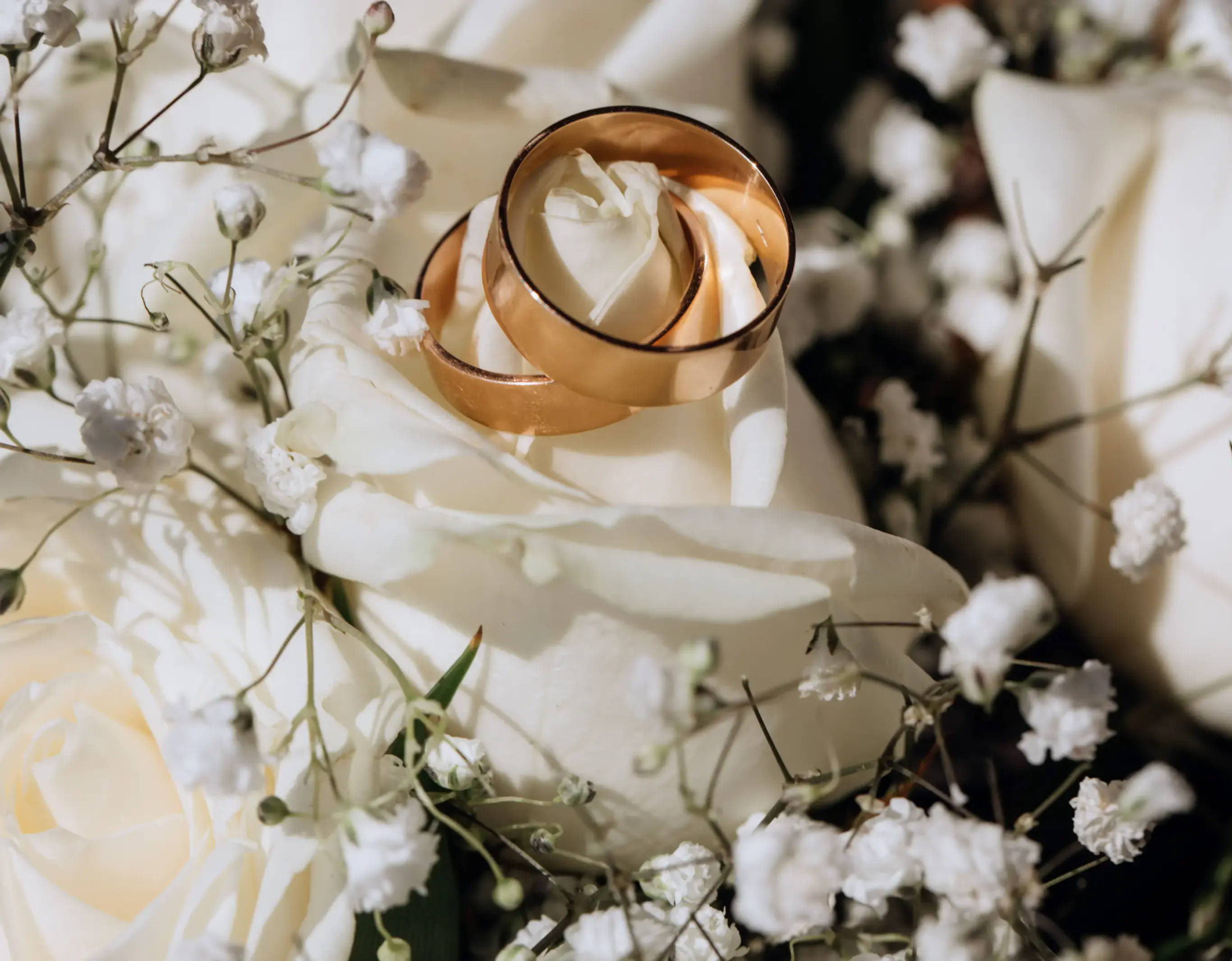 Two gold wedding rings resting on white roses and baby’s breath flowers.