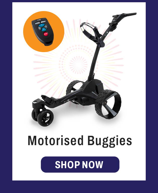 Motorised Buggies
