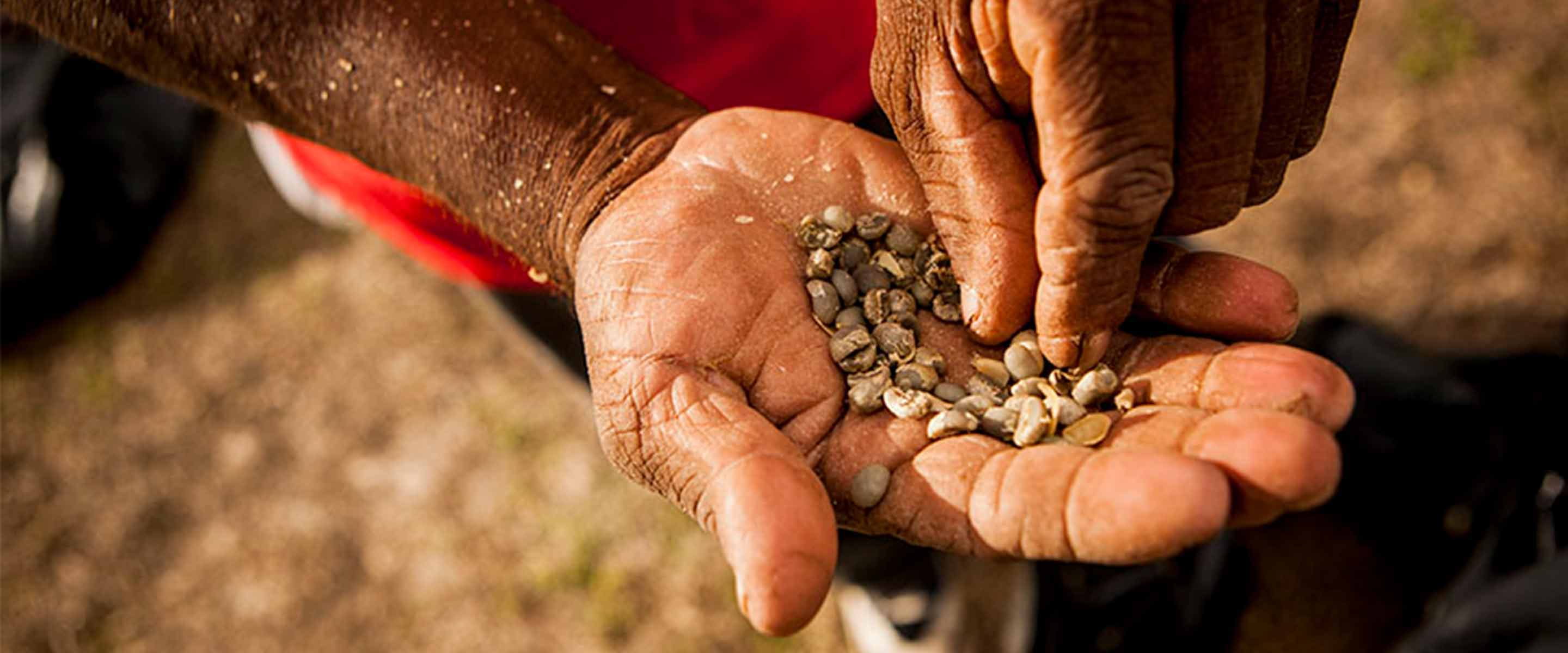 Hands holding seeds, with one hand sprinkling them.