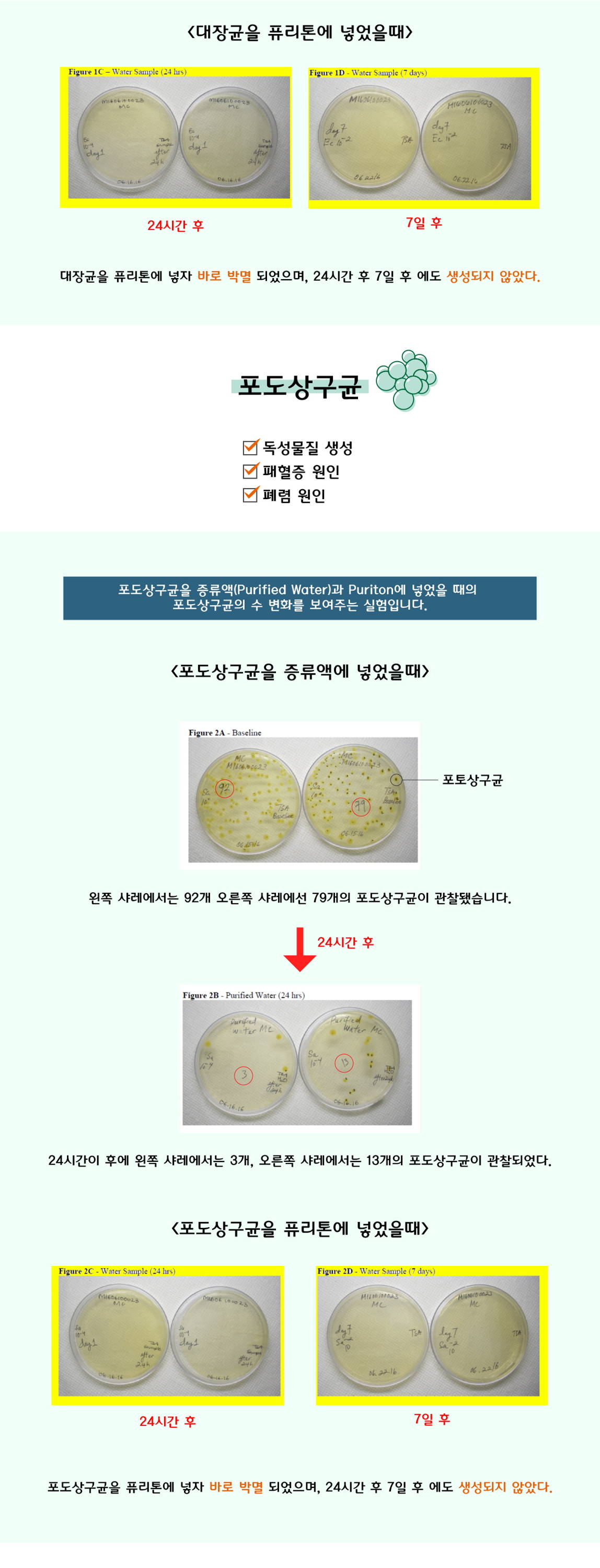 유해균 박멸 및 2차 세균 감염방지 복부통증 패혈증 피부염 발열 식중독 대장균 포초상구균 녹농균 살모넬라균 칸디다균 유아 성인 설사증 원인 출혈성 대장염 용혈성 요독증증후군 