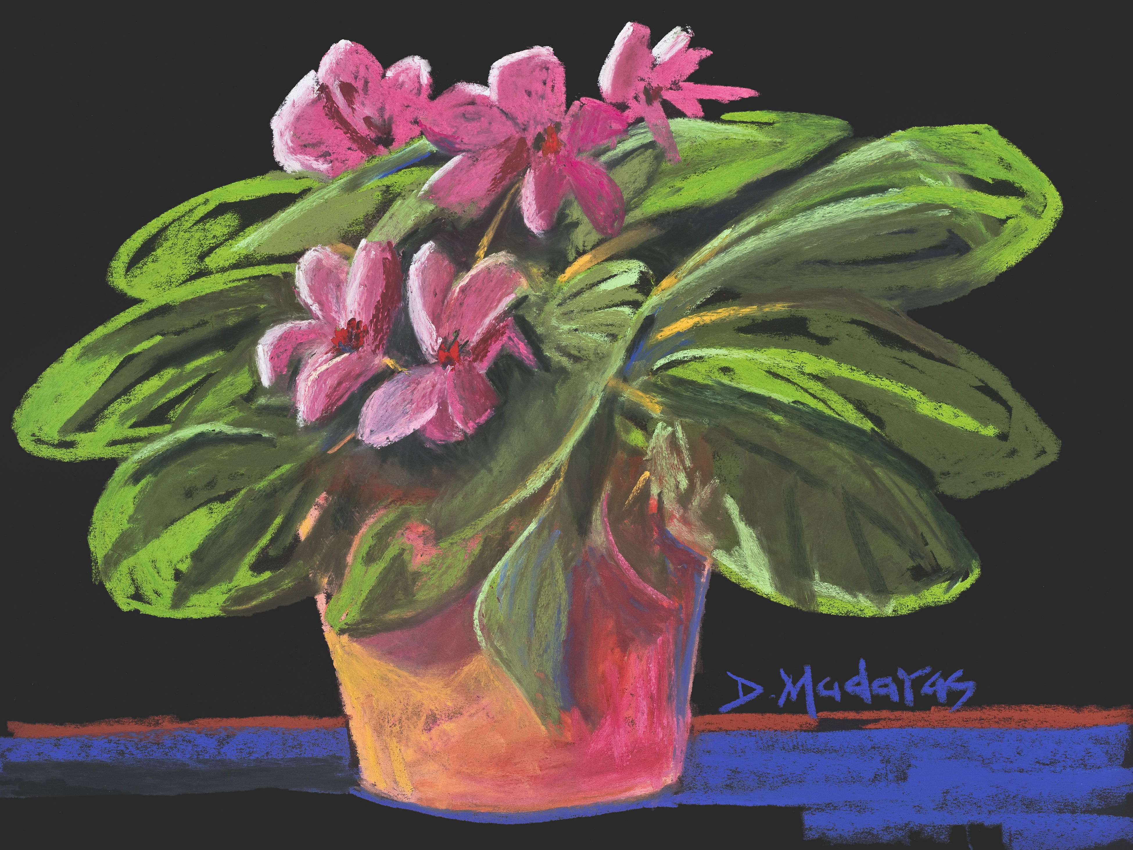 Granny's African Violets