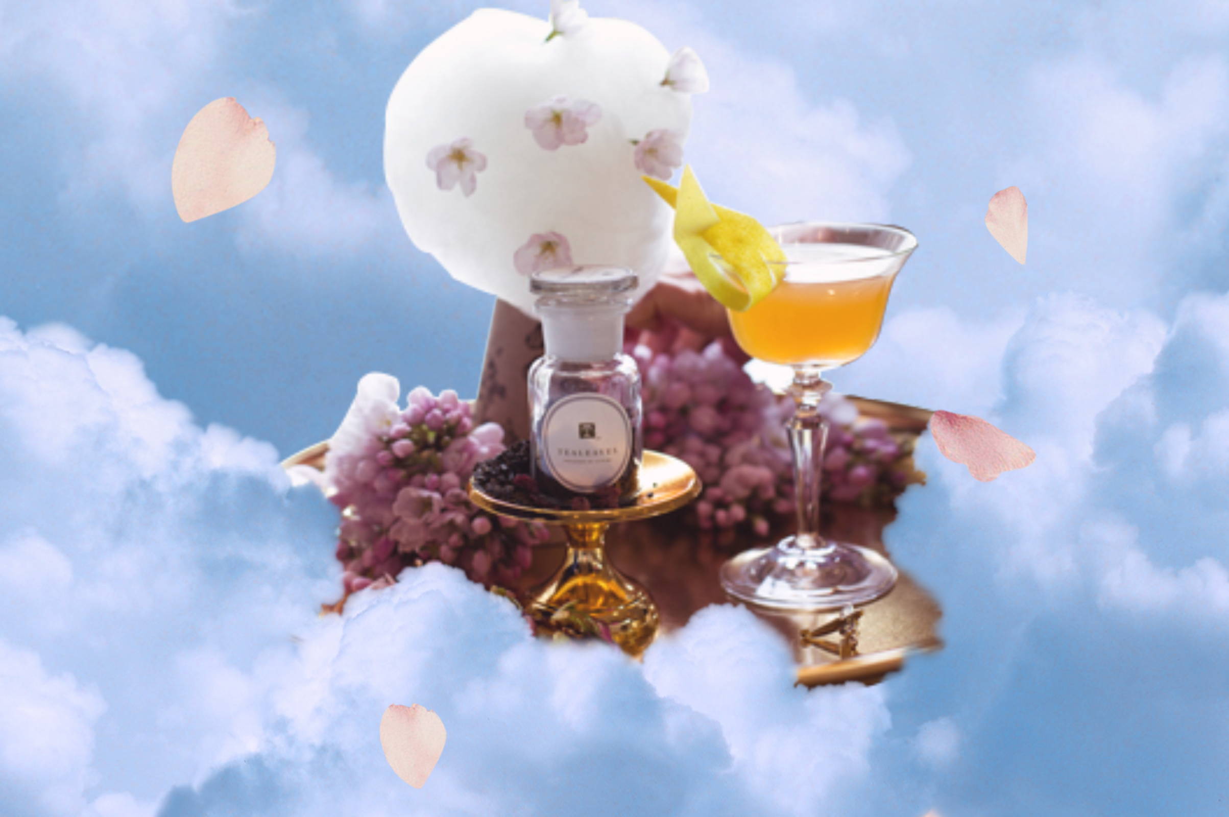 sakura sidecar created by H Tasting Lounge
