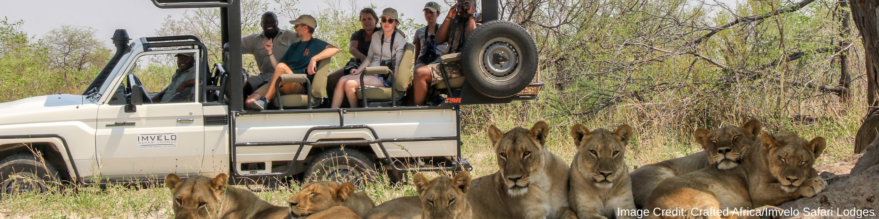 Hwange National Park - Pride of lions