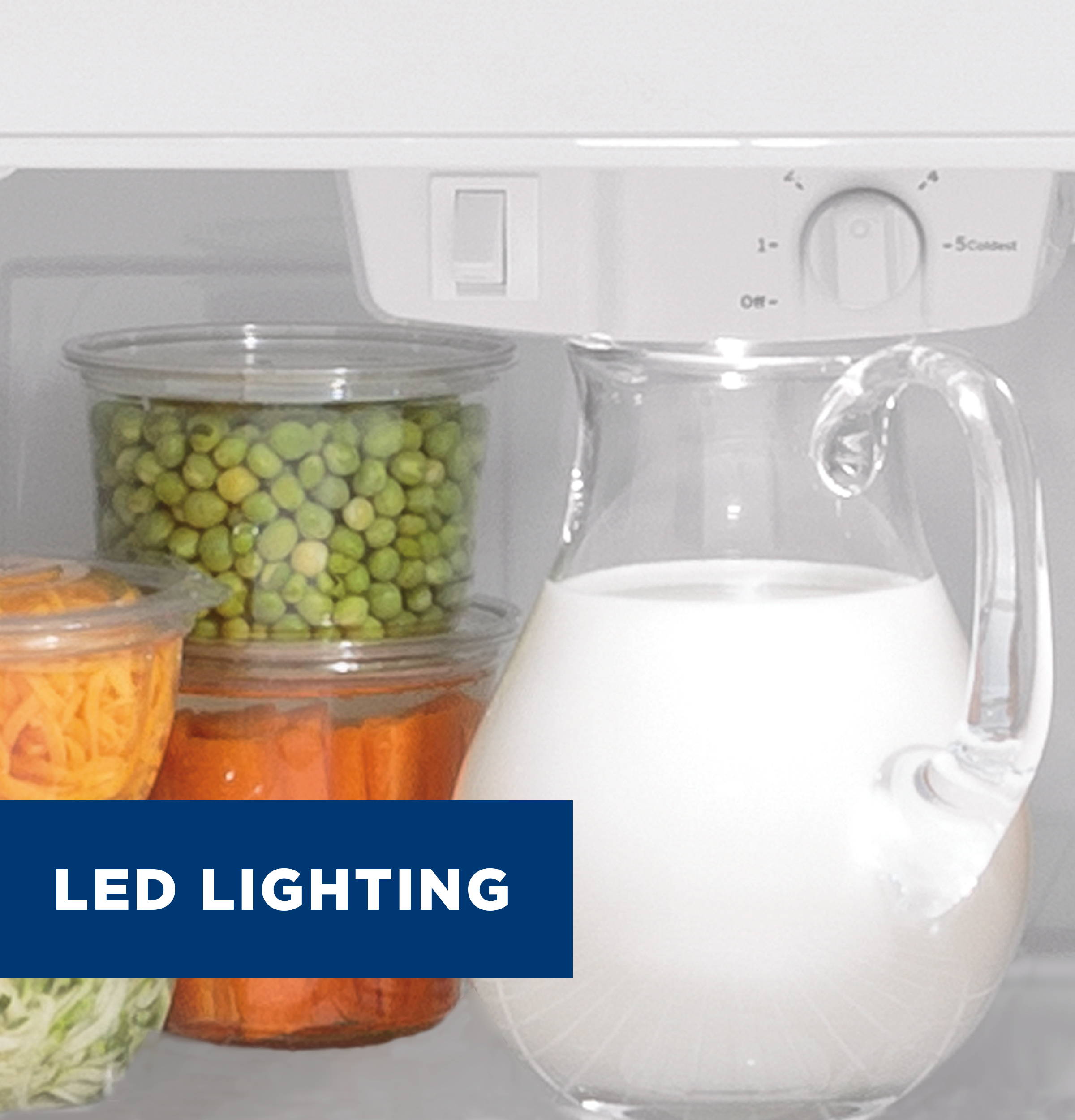 Top Freezer Refrigerator with LED Lighting