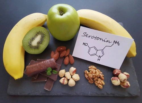 How would a serotonin supplement affect your brain?