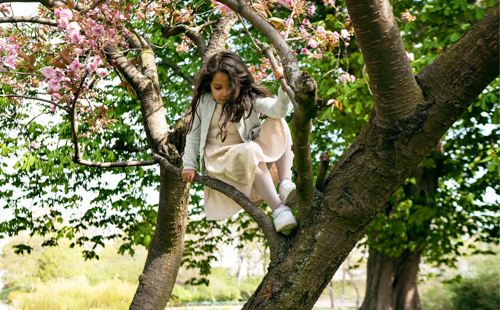Girl clambering down from a tree – it’s in flower and has just the right sort of branches to be lots of fun to climb 