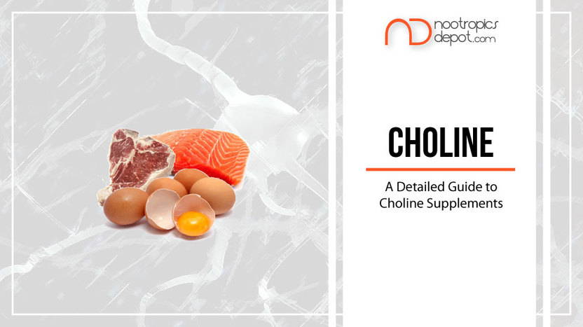 The Ultimate Guide to Choline Supplements