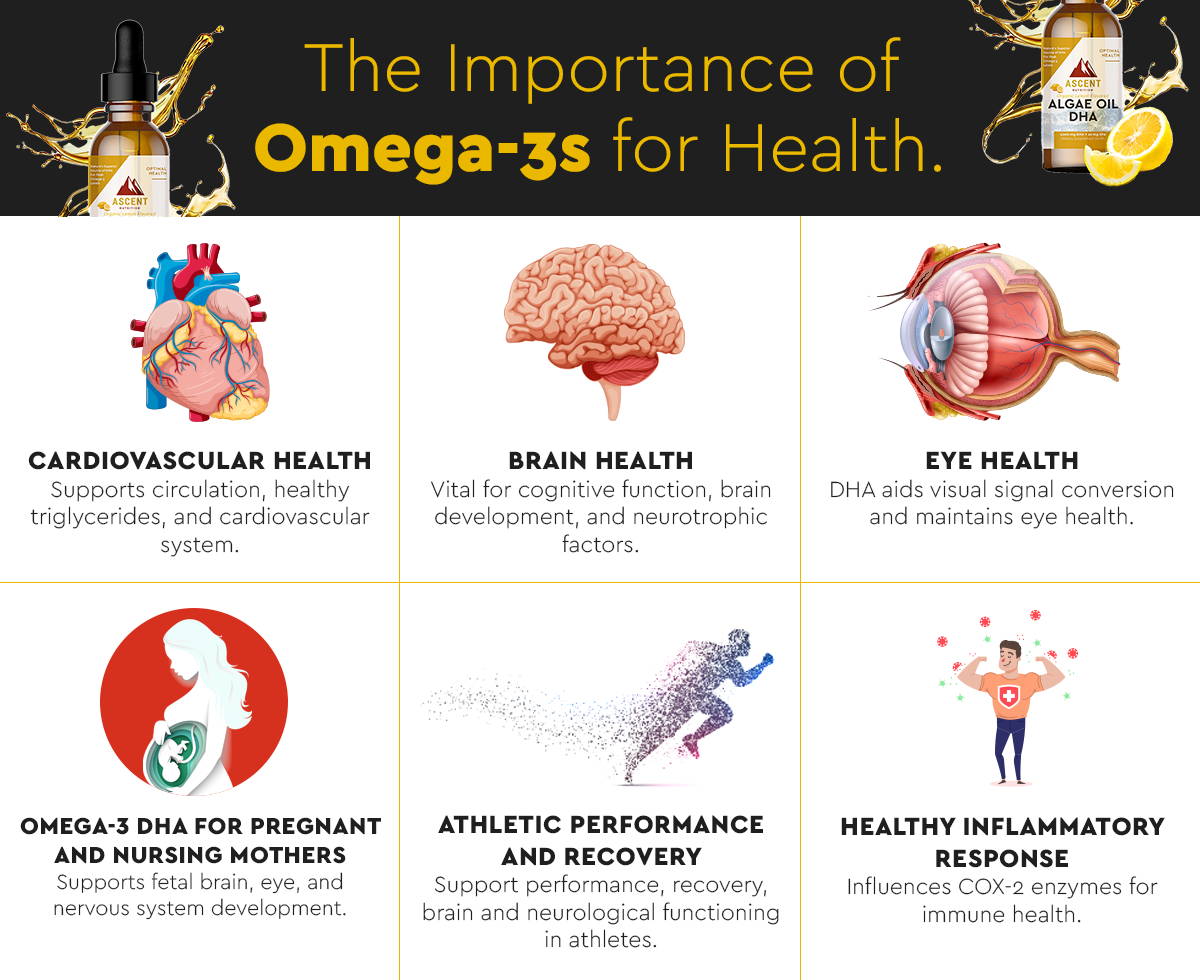 Importance of Omega-3 for Health